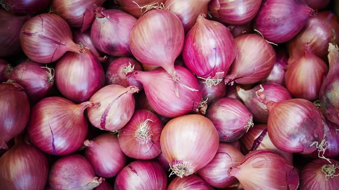 ડુંગળીના ભાવમાં ભડકો: છૂટક બજારમાં ભાવ ₹30 થી ₹50 પ્રતિ કિલોને પાર
