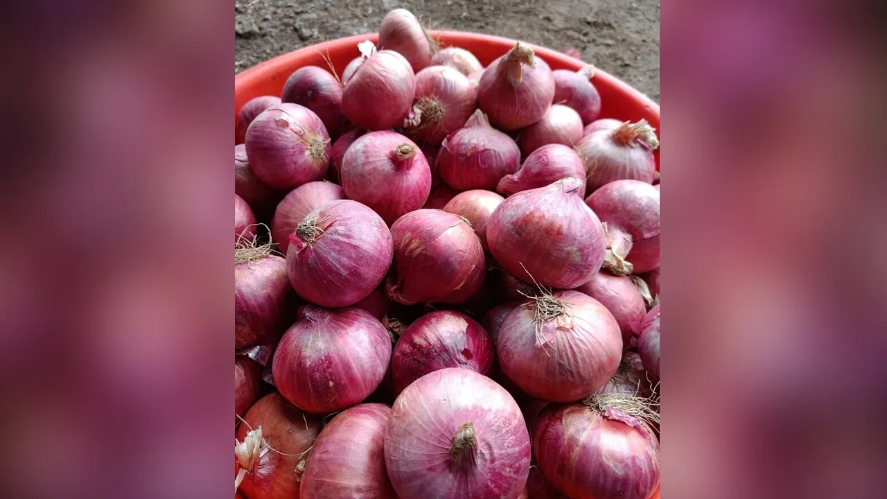 onion2 