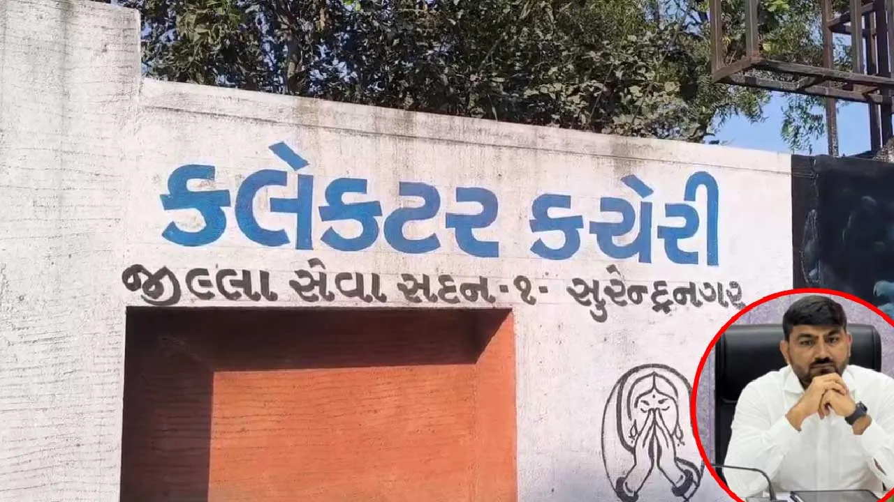 શું ગુજરાતની બધી જ કલેક્ટર કચેરીઓને ભ્રષ્ટ બનાવવા પાછળ ચૂંટાયેલા સ્થાનિક નેતાઓ જવાબદાર છે?