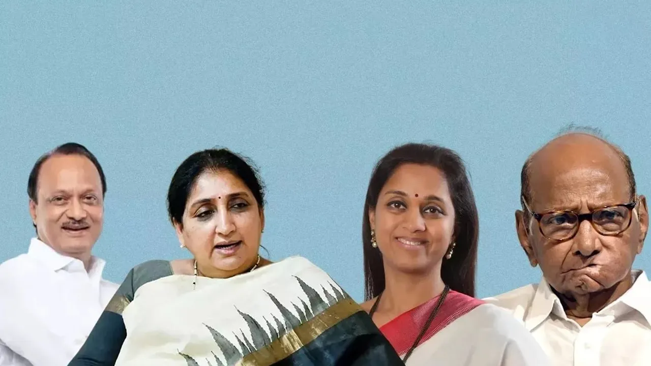 Sunetra-Pawar1 