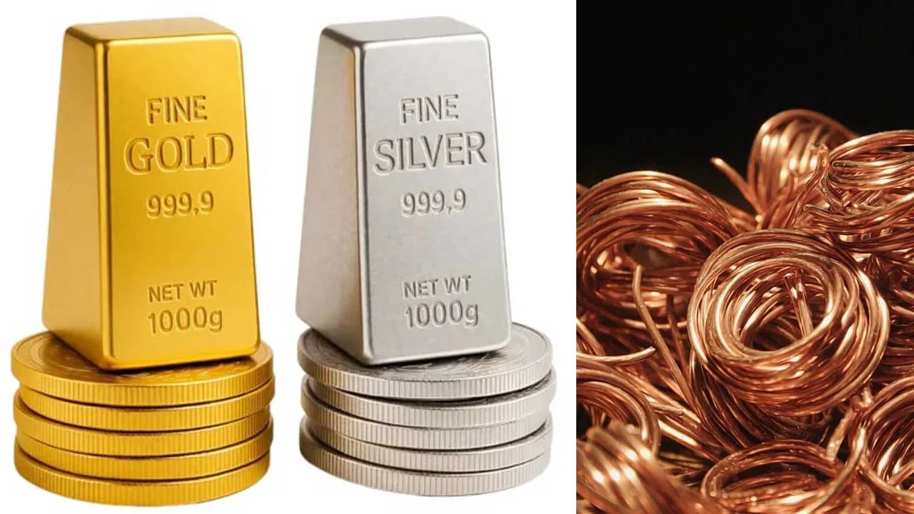 સોનું-ચાંદી નહીં, બમણી થવાની છે આ ધાતુ... રોબર્ટ ફ્રિડલેન્ડે સમજાવ્યું ગણિત