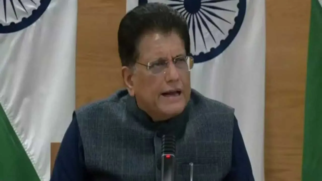 ચા, મસાલા, દવા, ઘરેણા... આ વસ્તુઓ પર 'શૂન્ય' ટેરિફ, જાણો ભારત-અમેરિકા વેપાર કરાર વિશે પિયુષ ગોયલે શું કહ્યું