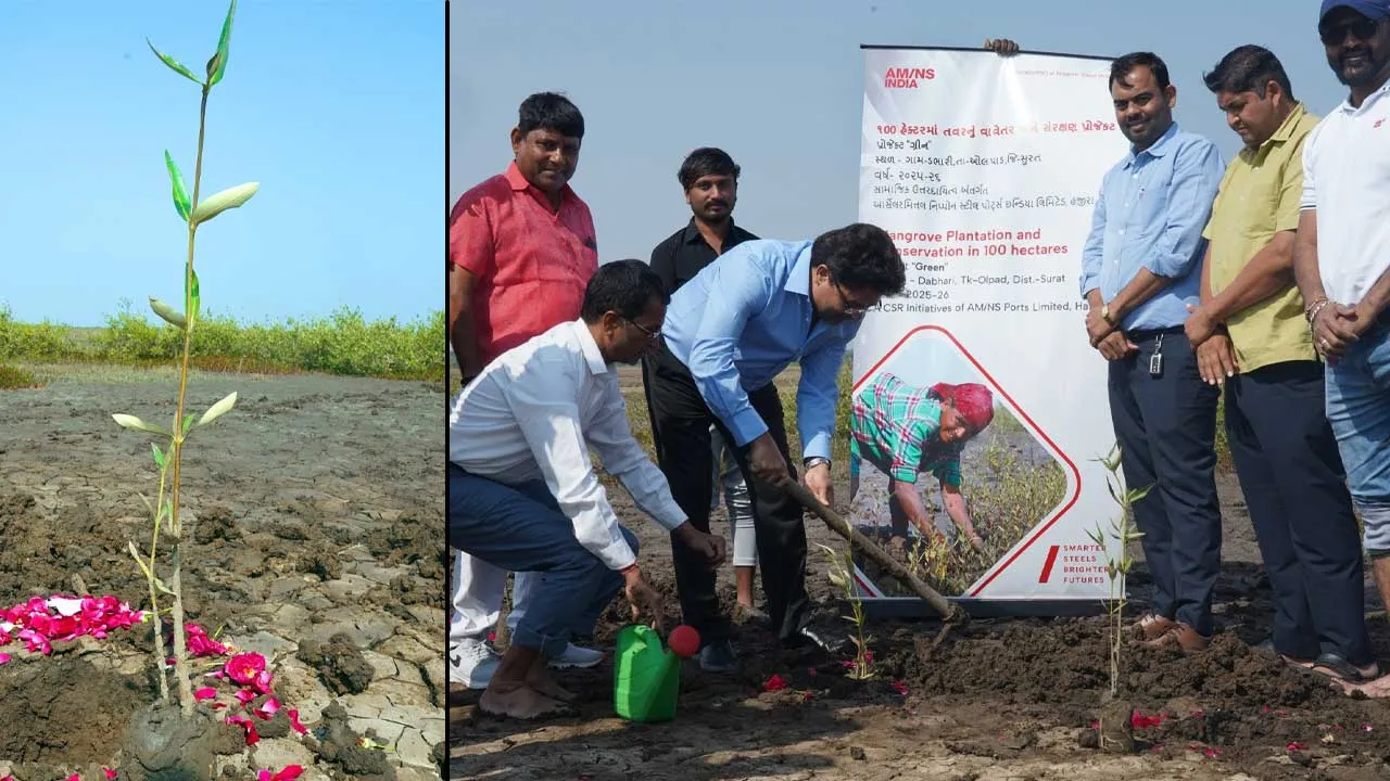 AM/NS Indiaનું સુરતમાં વિશાળ સ્તરે મૅન્ગ્રોવ વાવેતરની સાથે ગ્રીન કવરનું વિસ્તરણ