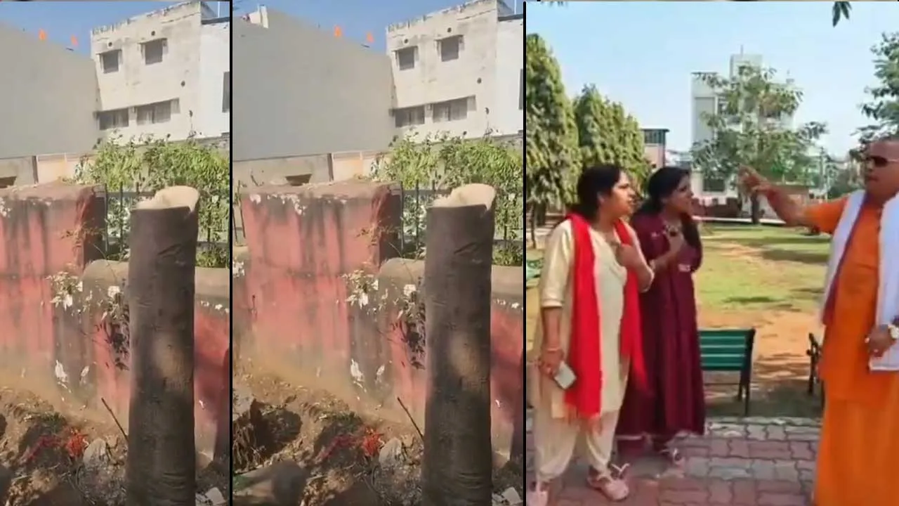 ઝાડની આડમાં યુગલો બેસતા હતા, પાર્કના વૃક્ષો જ કાપી નાખ્યા, મહિલાઓએ કર્યો વિરોધ