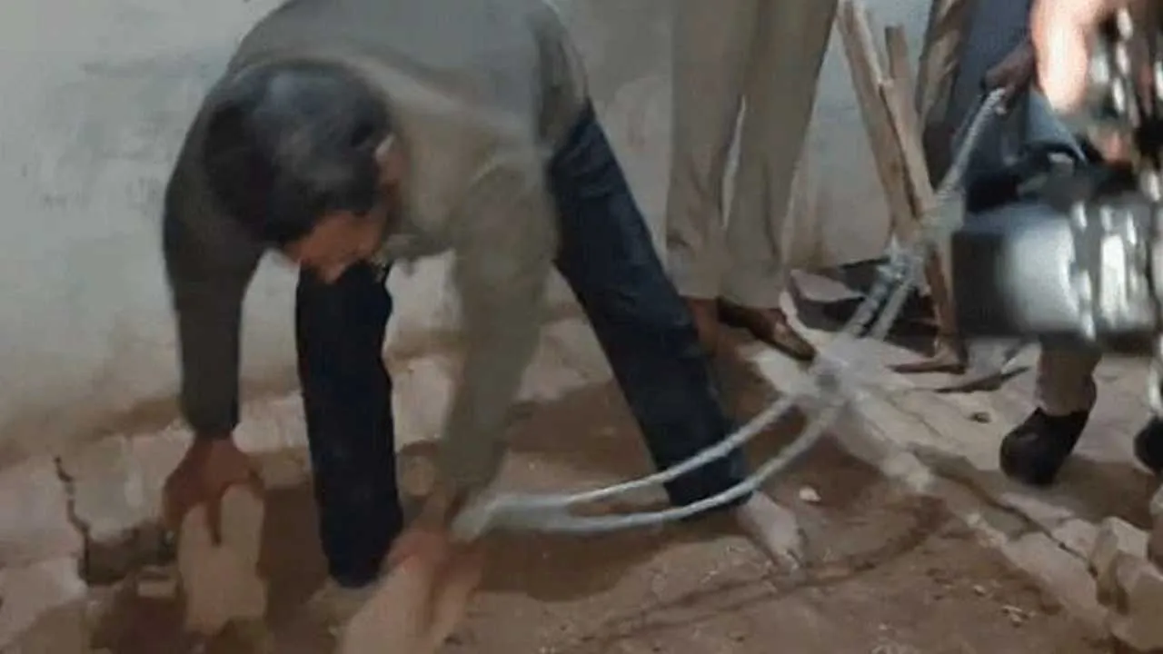 Brother Kills Elder Brother