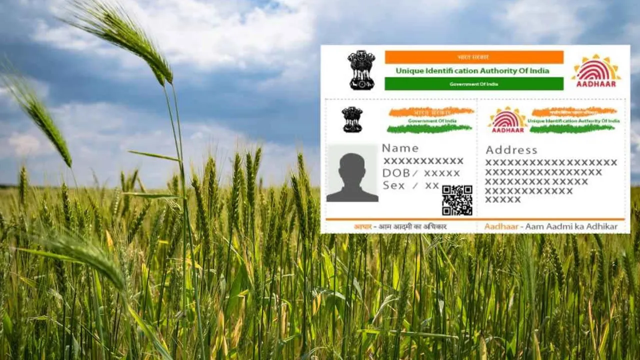 હવે માણસોની જેમ તમારી જમીનનું પણ બનશે ‘આધાર કાર્ડ’, એક નંબરથી પકડાઈ જશે અસલી માલિક!