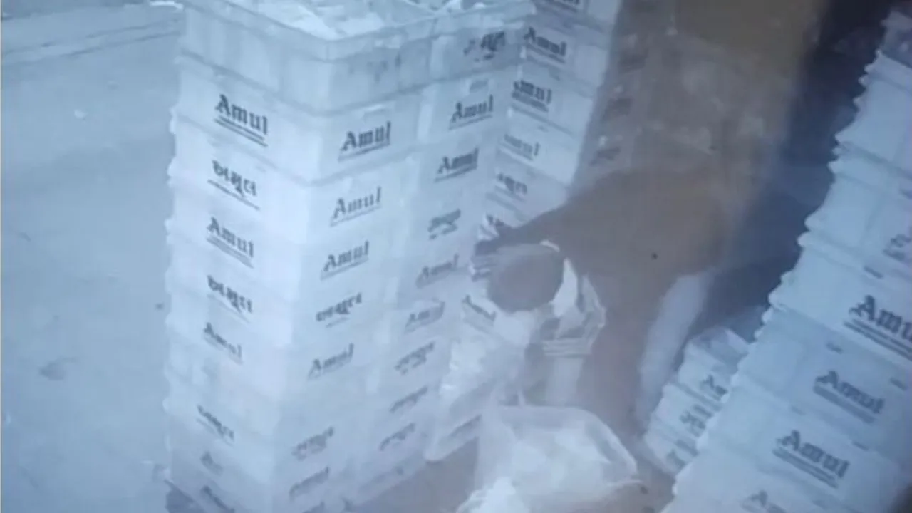 બોલો! અમદાવાદમાં પૈસા કે કિંમતી સામાન નહીં દૂધ ચોરીની ઘટનાથી પરેશાન થયા લોકો