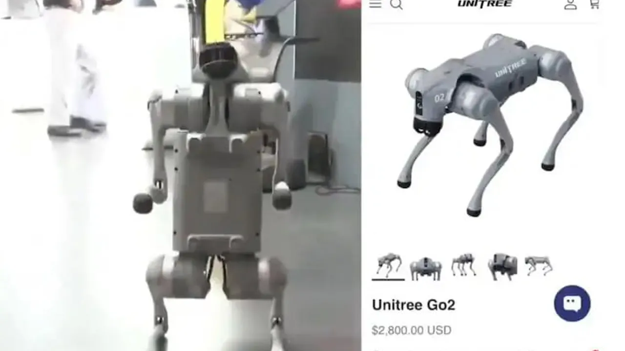 જબરા નમુના છે... ભારતની યુનિવર્સિટી AI સમીટમાં ચીનનો રોબો ડોગ લઈ આવી અને કહ્યું આ અમે બનાવ્યું છે, પછી સરકારે...