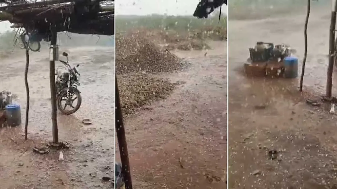 હજુ ખતરો ટળ્યો નથી, ગુજરાતના માથે વધુ એક સિસ્ટમનું જોખમ, 22 માર્ચ બાદ...