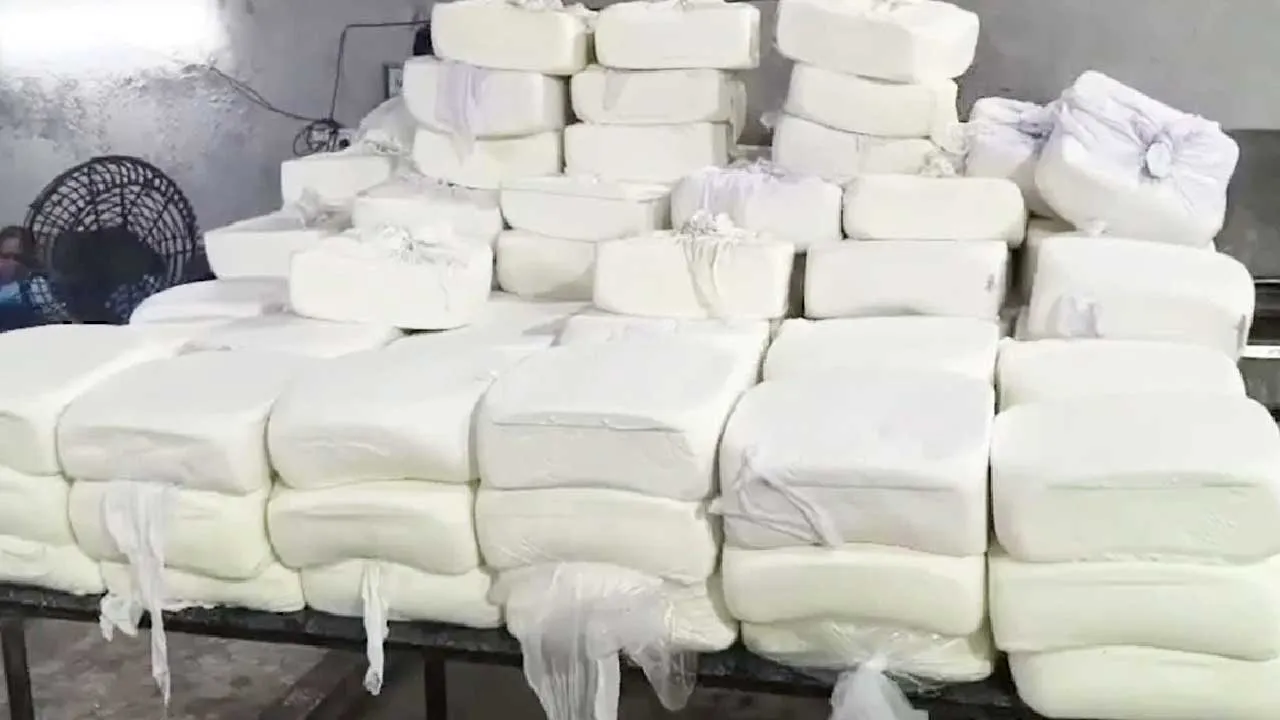 સુરતમાં 1400 કિલો નકલી પનીર પકડાયું, પામ ઓઈલ, કેમિકલથી બનાવતા, કેવી રીતે ઓળખવું?