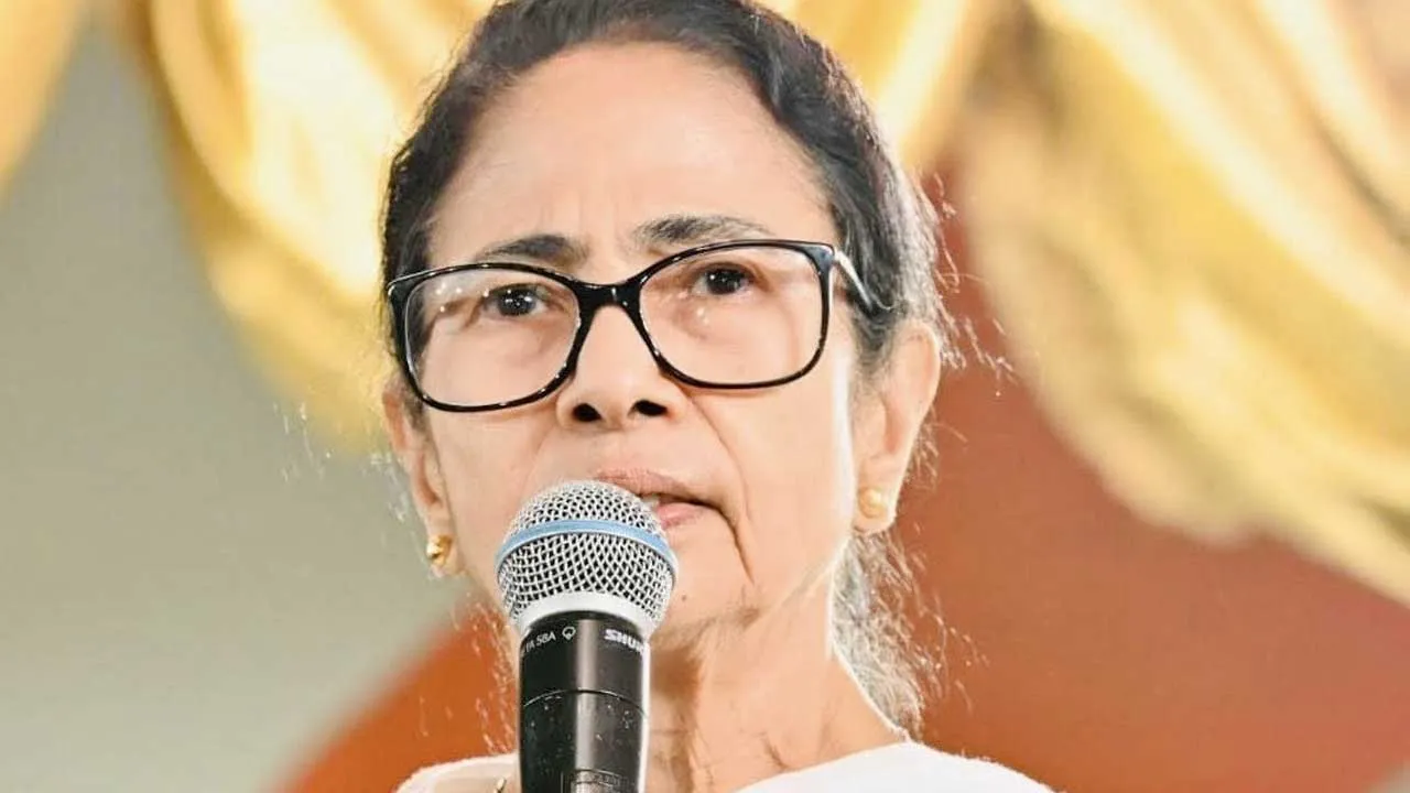 mamta