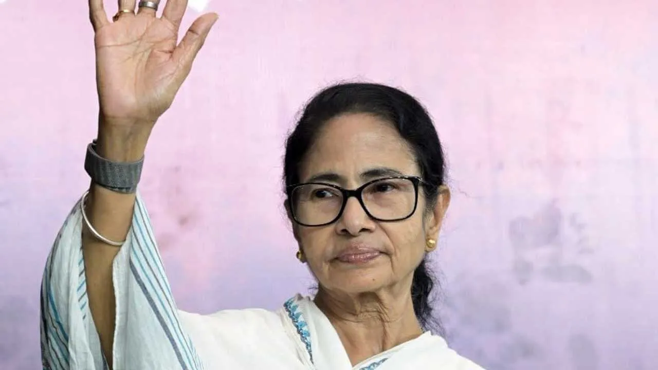 mamta
