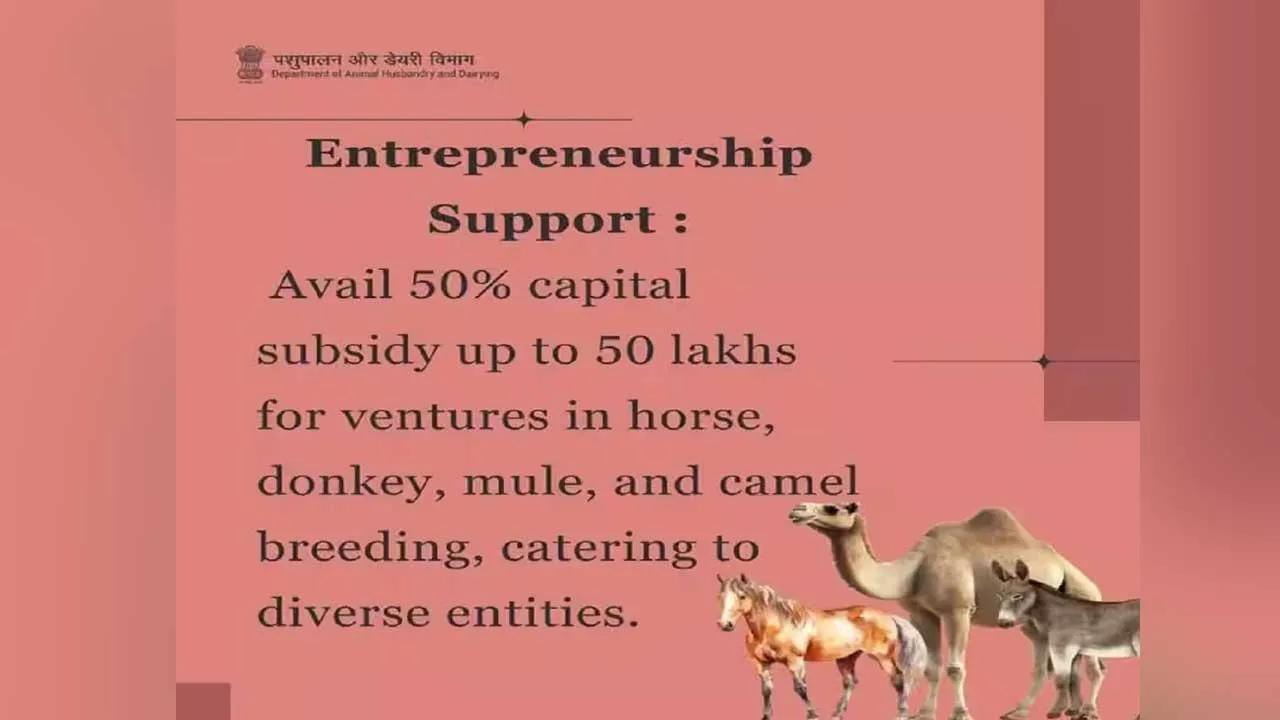 Government NLM Scheme