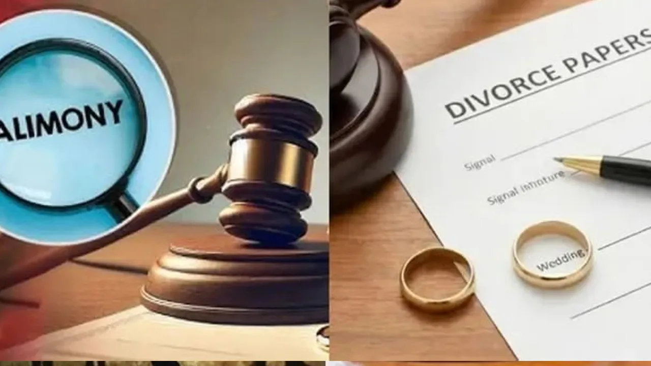ઘણીવાર ભરણપોષણની રકમ મેળવવા પત્નીઓ પતિની આવક વધારીને બતાવે છે; શા માટે કોર્ટે આવું કહ્યું