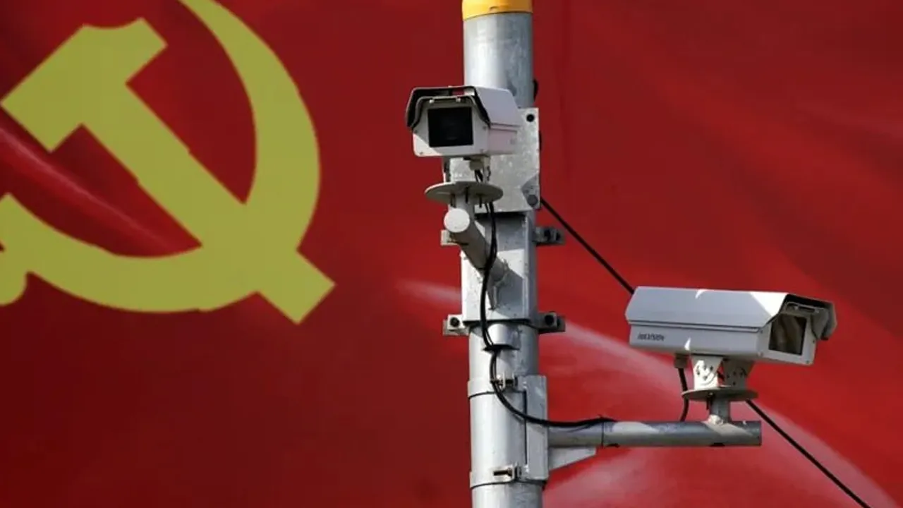 Woman-Pet-Dog-Kindergarten 