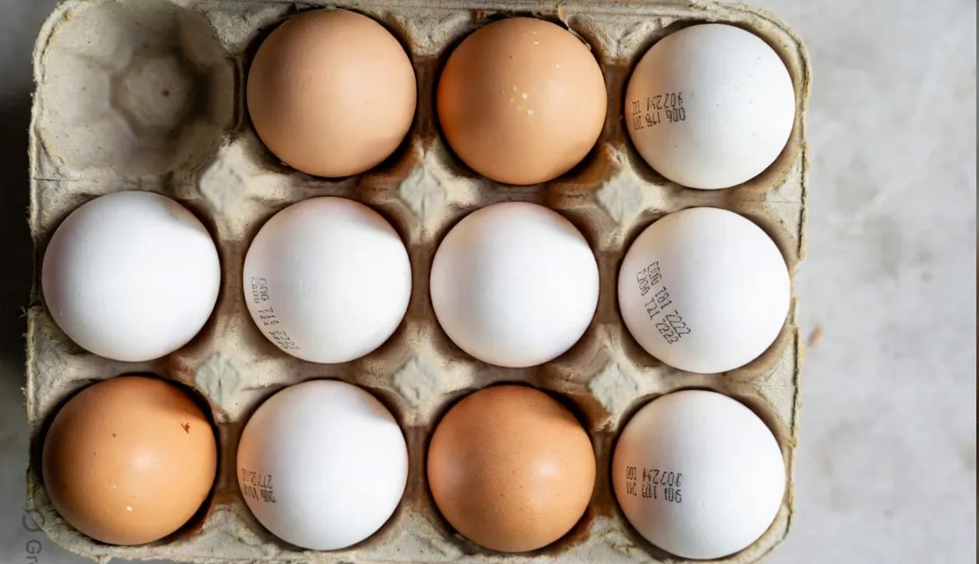 દરેક ઈંડા પર લખવી પડશે એક્સપાયરી ડેટ, યોગી સરકાર કડક નિયમો લાગૂ કરવા જઇ રહી છે