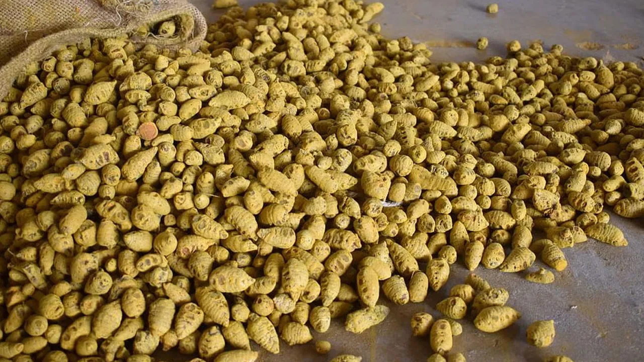 Hero-Vida-VX2-Plus-KKR1 