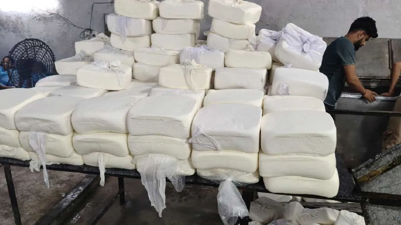 સુરતમાં 1400 કિલો નકલી પનીર પકડાયું, પણ કશું થવાનું નથી