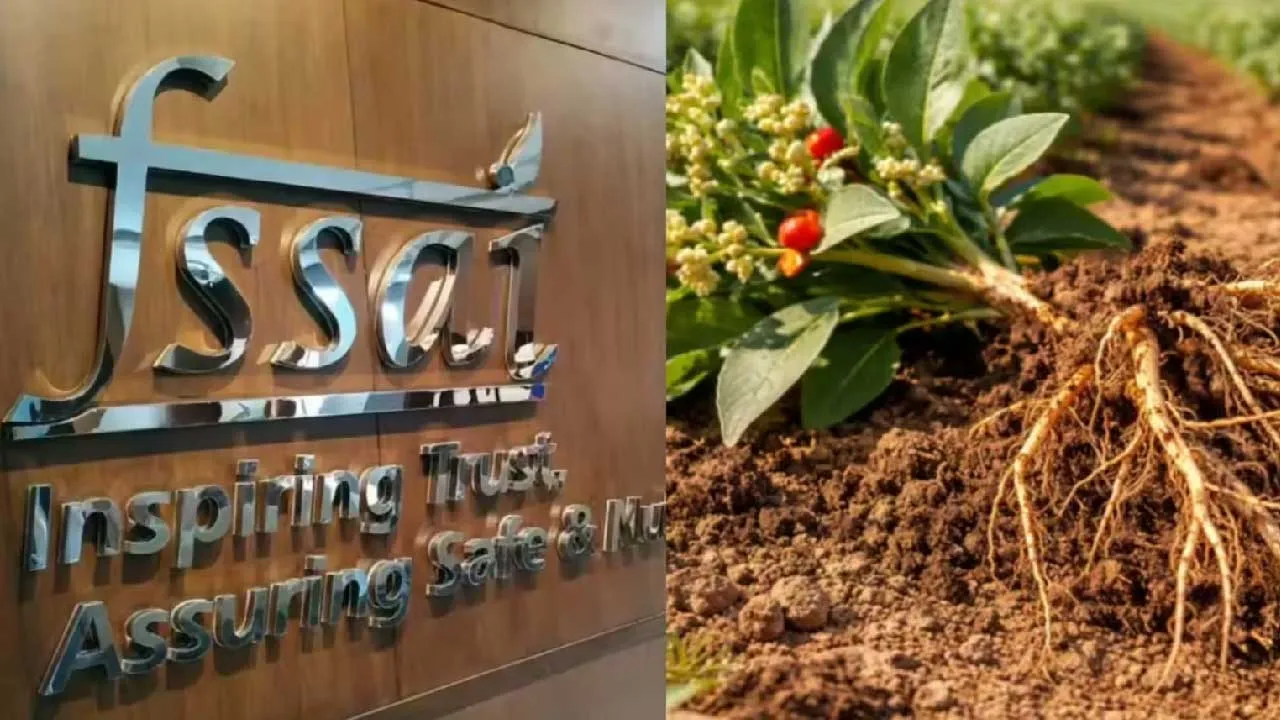 અશ્વગંધાના પાંદડા પર FSSAIએ પ્રતિબંધ શા માટે લગાવ્યો? તેના મૂળિયા ખાવાના ફાયદા અને આડઅસરો વિશે જાણો