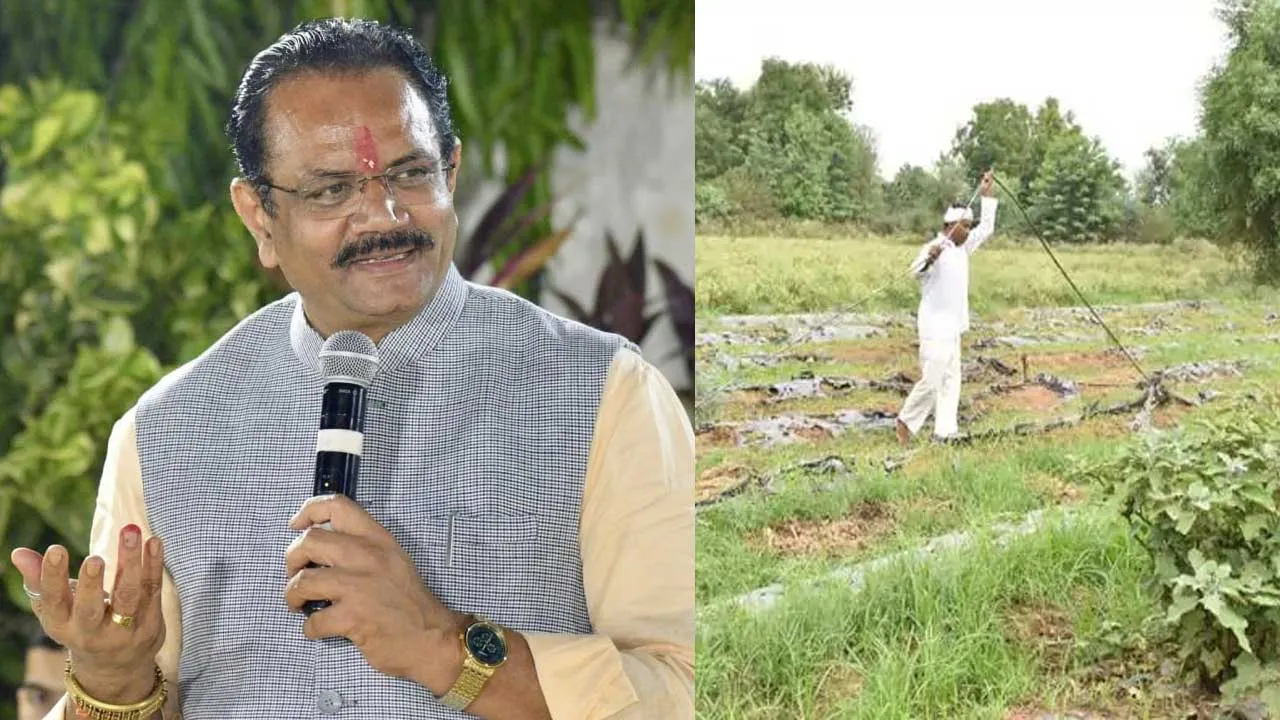 ગુજરાત સરકારે ટુકડાધારા કાયદામાં સુધારા માટે વટહુકમ બહાર પાડ્યો, હવે 20ને બદલે 10 ગુંઠા જમીનનું જ ખરીદ-વેચાણ કરી શકાશે