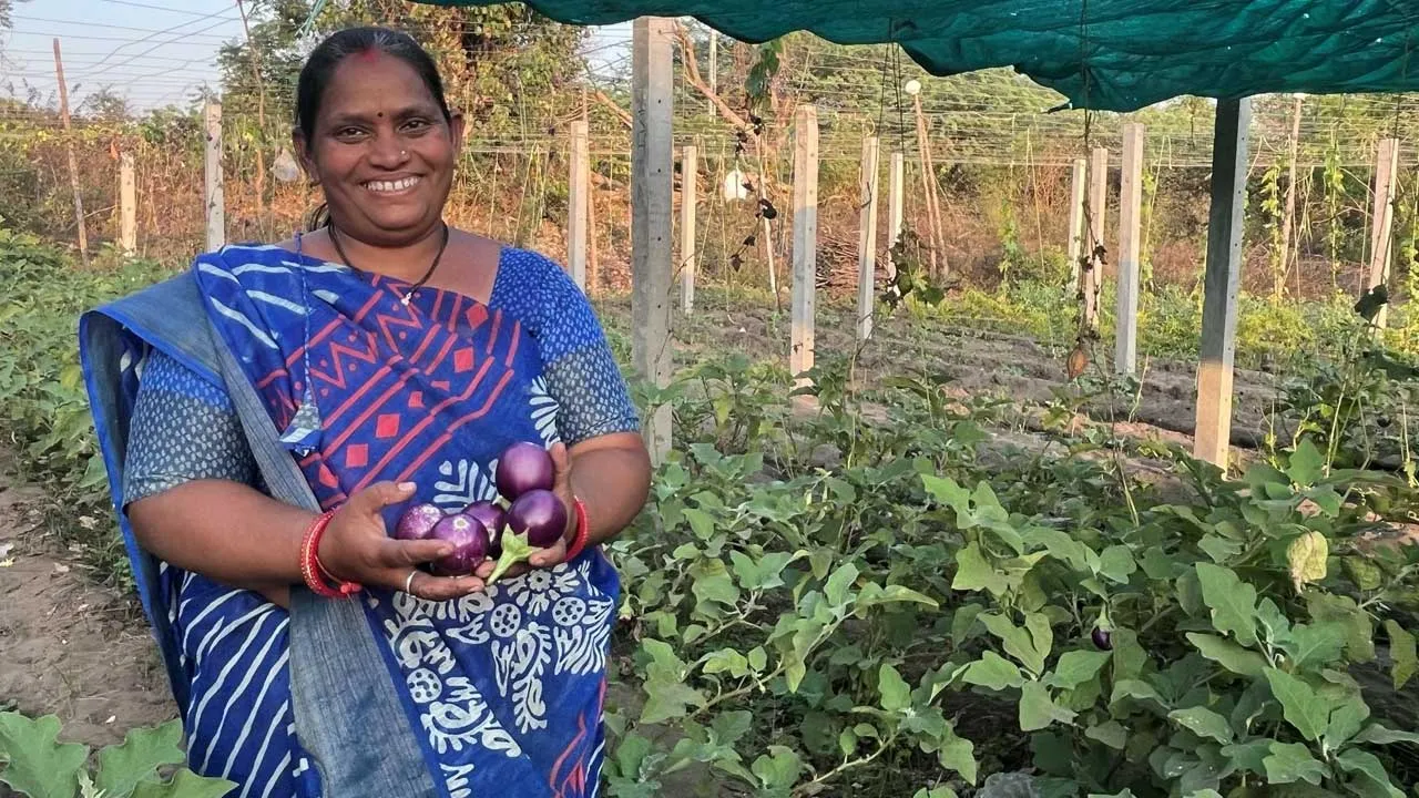 રસોડાથી ખેતર સુધી અદાણી ફાઉન્ડેશનની મદદથી કૈલાશબેનની પ્રાકૃતિક ખેતીમાં સફળતાની ગાથા