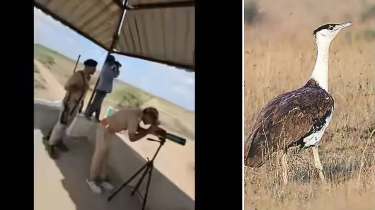 Monitoring-Newborn-Chick3 