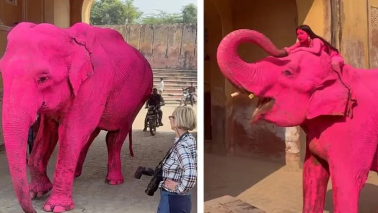 Pink-elephant2 