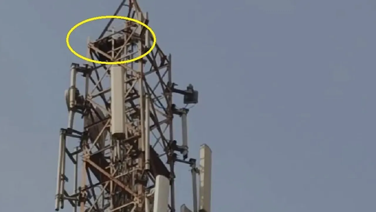 Woman-Mobile-Tower2 
