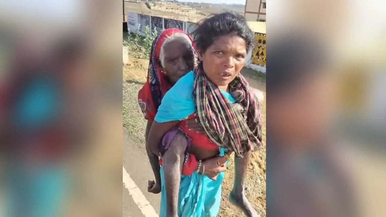 Daughter In Law-Mother In Law