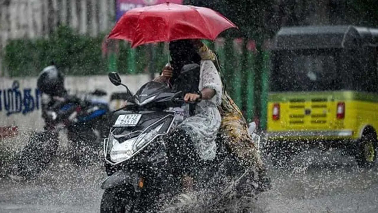 rain