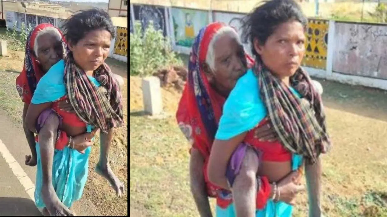 Daughter In Law-Mother In Law