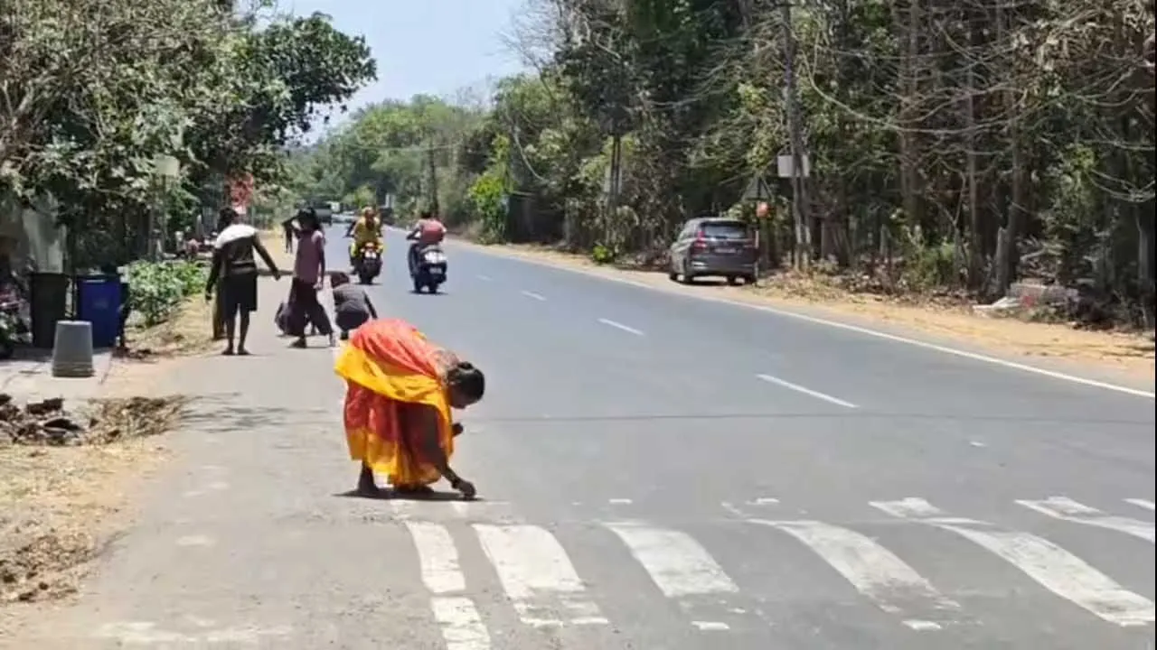 'રોડ પર વેરાઈ ગયું છે સોનું...' ગુજરાતમાં હવાની જેમ ફેલાઈ ગઈ આ વાત; મહિલાઓ અને બાળકો જે હાથમાં આવ્યું તે લઈને દોડ્યા