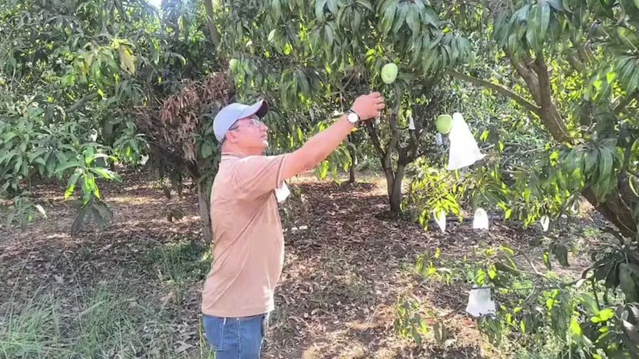farm