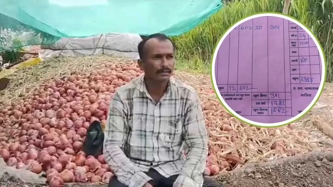 કિલો ડુંગળીના 50 પૈસા... 600 કિલો ડુંગળી વેચીને ખેડૂતને મળ્યા 301 રૂપિયા, પોતાના ખિસ્સામાંથી રૂ. 1082 ચૂકવ્યા