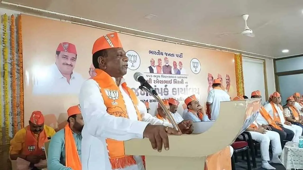 ગુજરાતના સાંસદોની ગ્રાન્ટ વાપરવામાં પણ કંજુસાઈ, 384 કરોડમાંથી માત્ર 82 કરોડ જ ખર્ચ્યા, સૌથી વધુ મનસુખ વસાવાએ ખર્ચ્યા