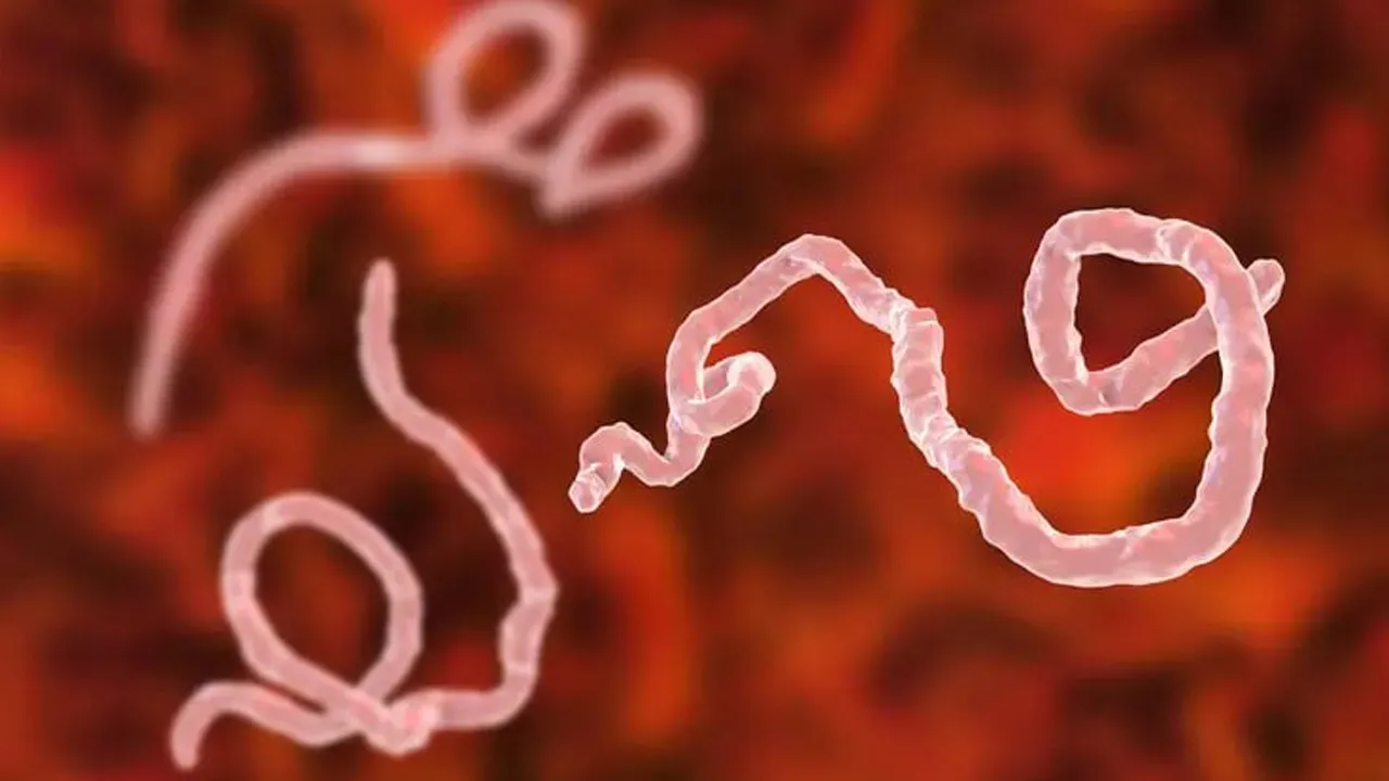 Ebola1'