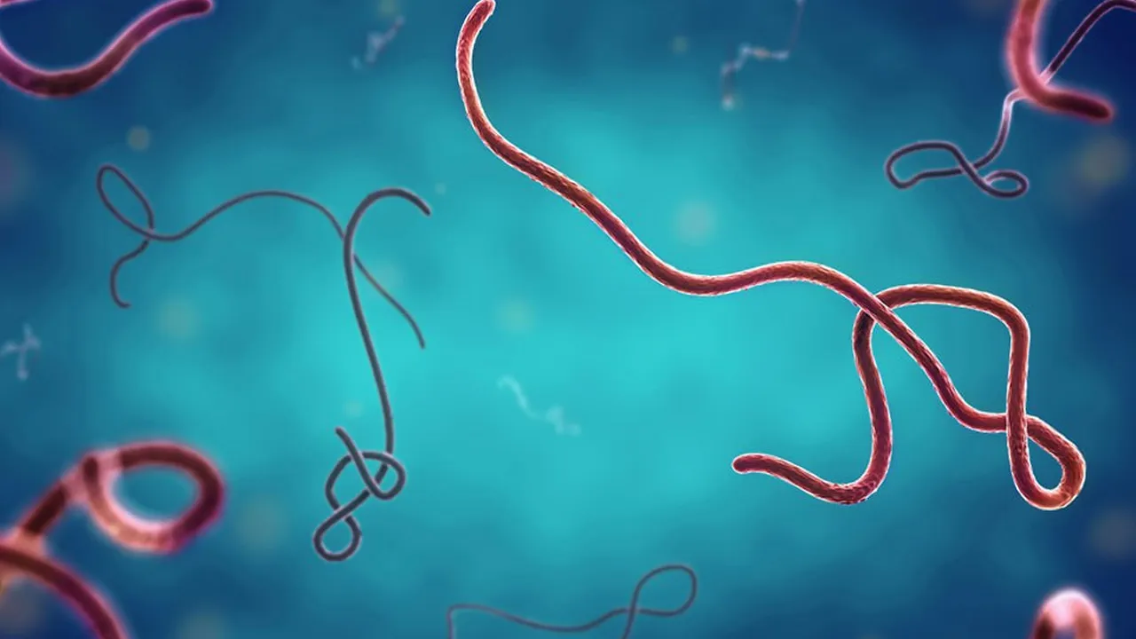 ebola2 