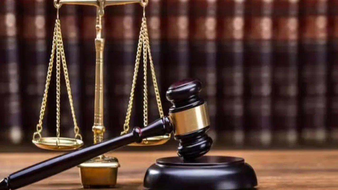 judge1 