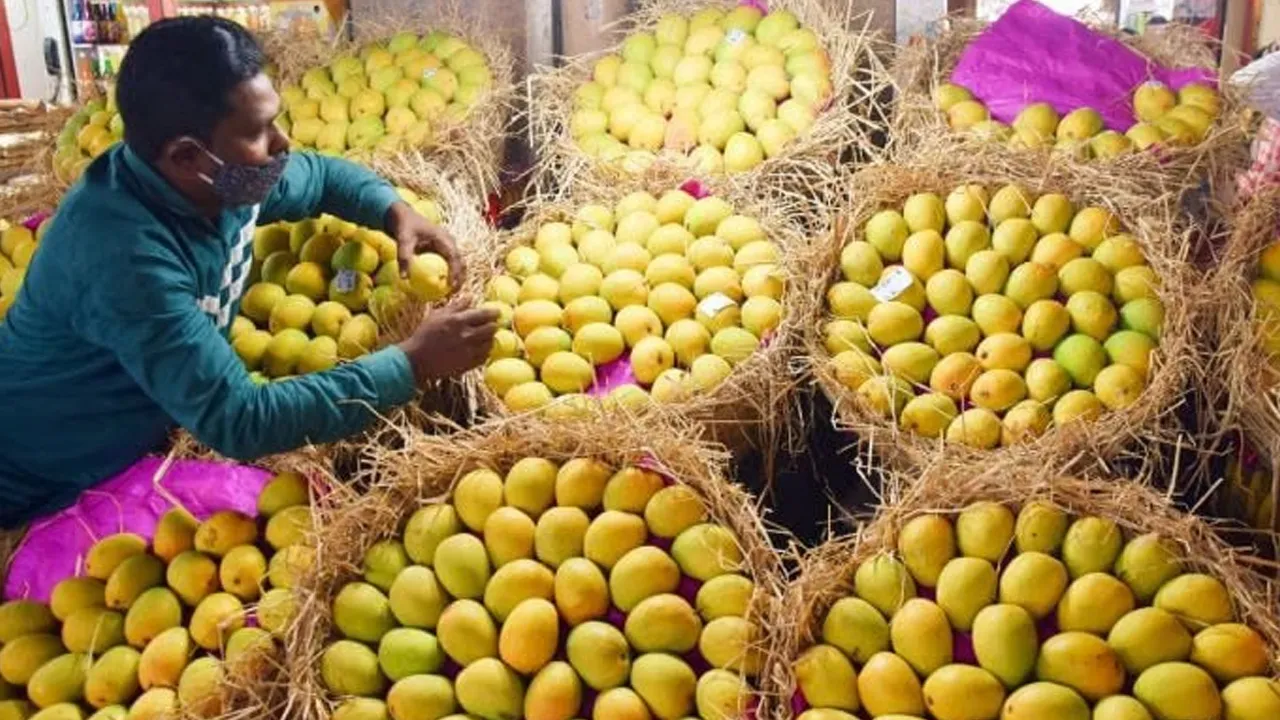 mango 