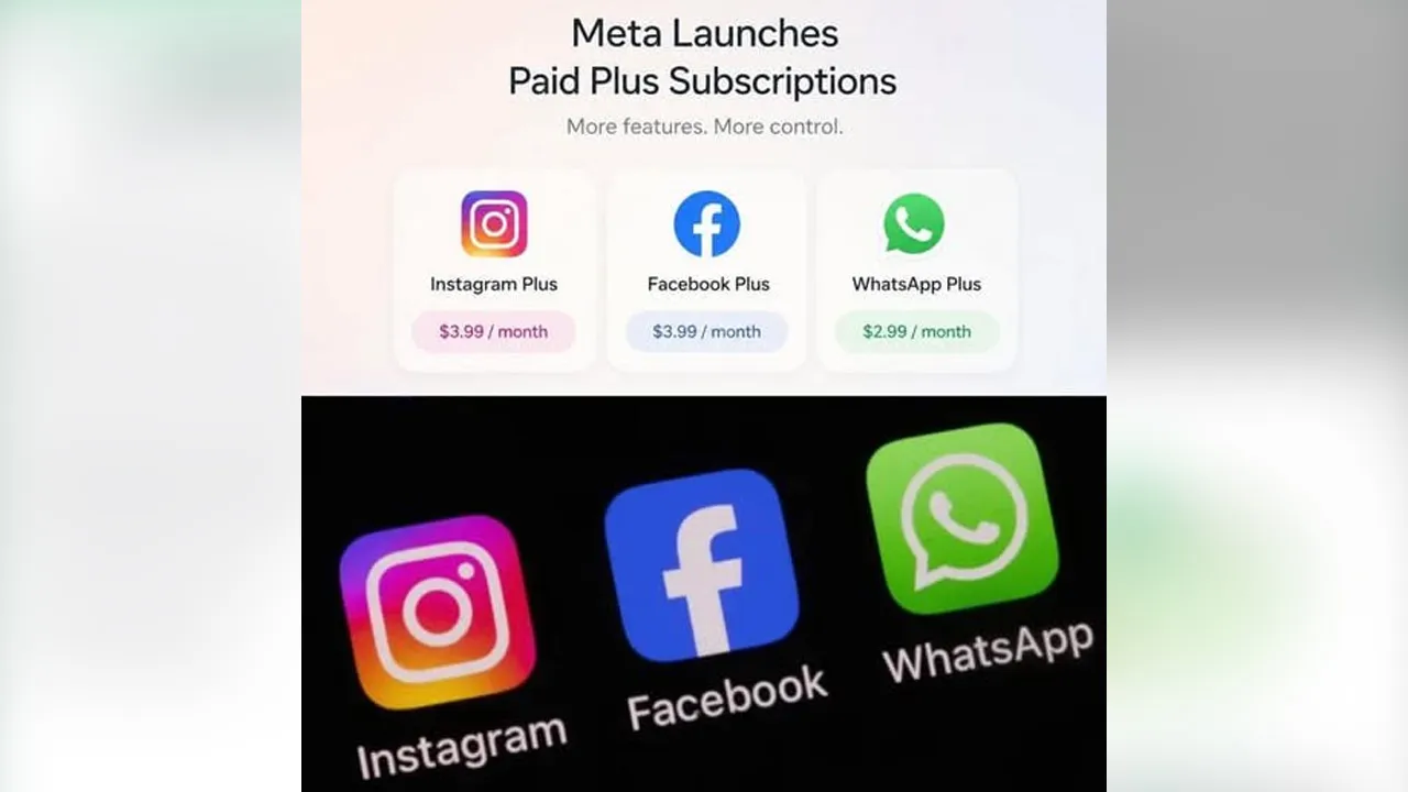 meta4 