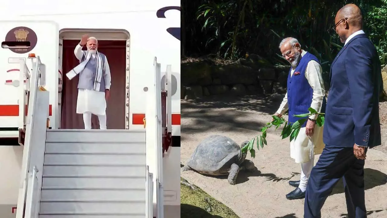 દોઢ લાખની વસતી ધરાવતા સેશેલ્સની મુલાકાતે PM મોદી બીજીવાર કેમ ગયા? શું છે ભારત માટે આ દેશનું મહત્ત્વ