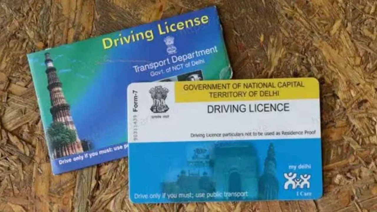 driving licence
