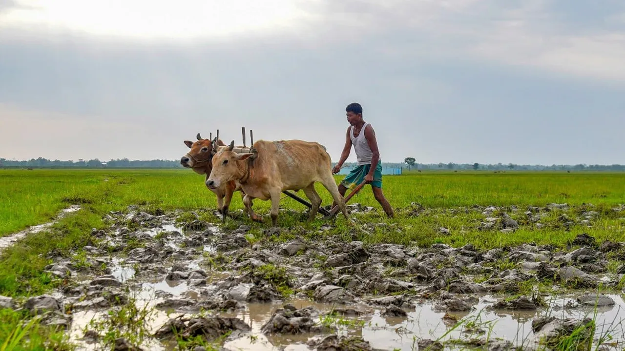 Rain-Deficit-El-Nino3 