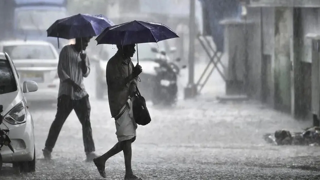 rain 