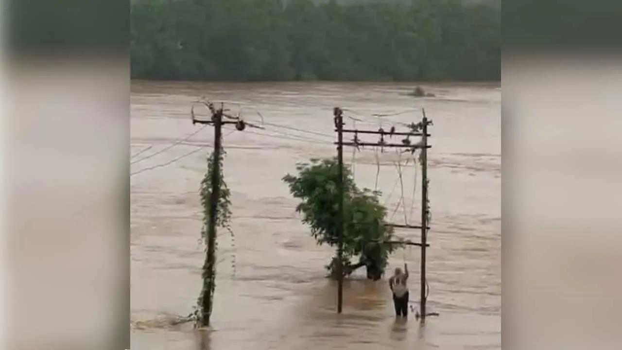 Flood