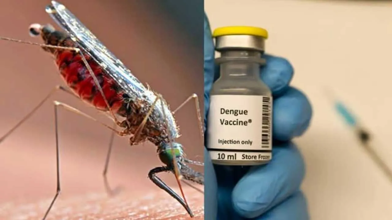 Dengue-Vaccine-Qdenga