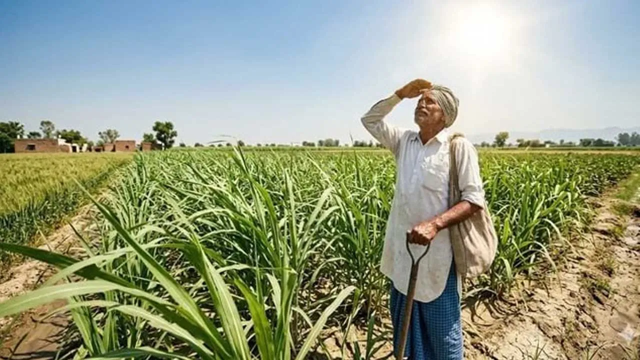 El Nino India