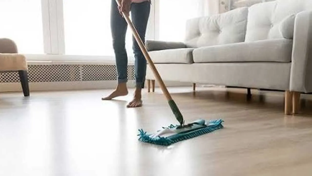 House cleaners