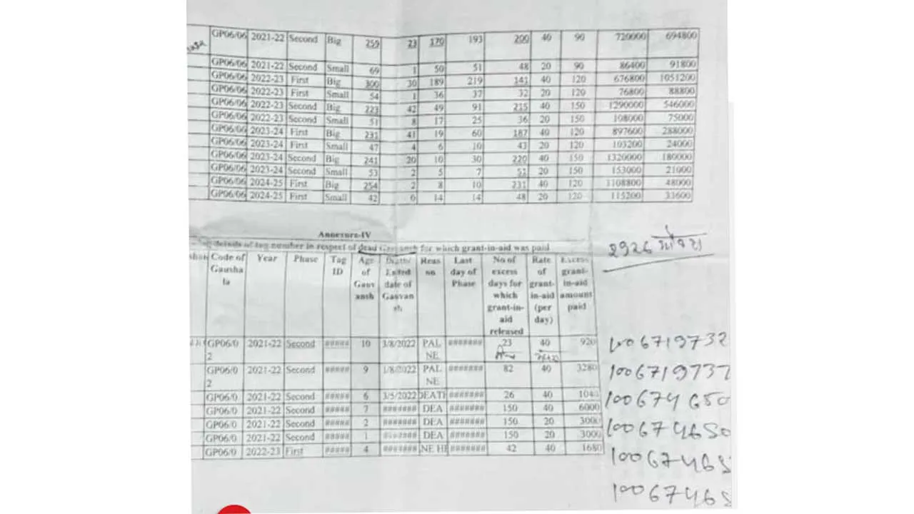 Cow Grant Scam