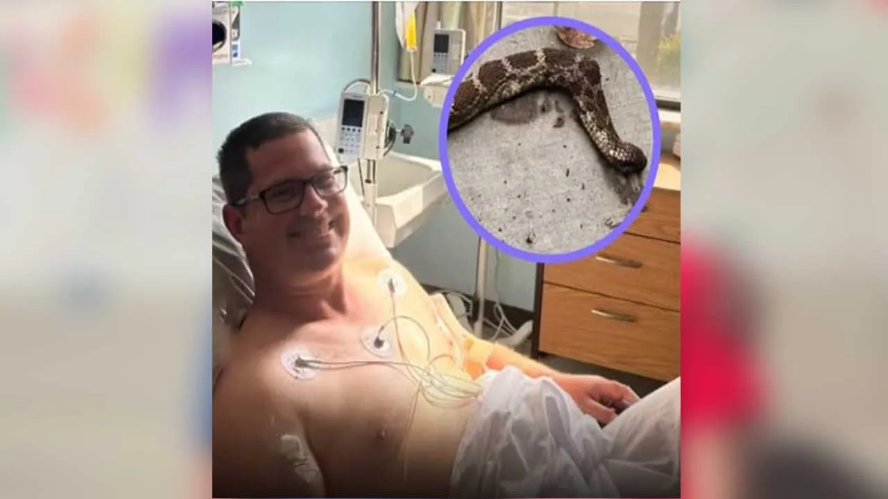 Man Bitten-Rattlesnake